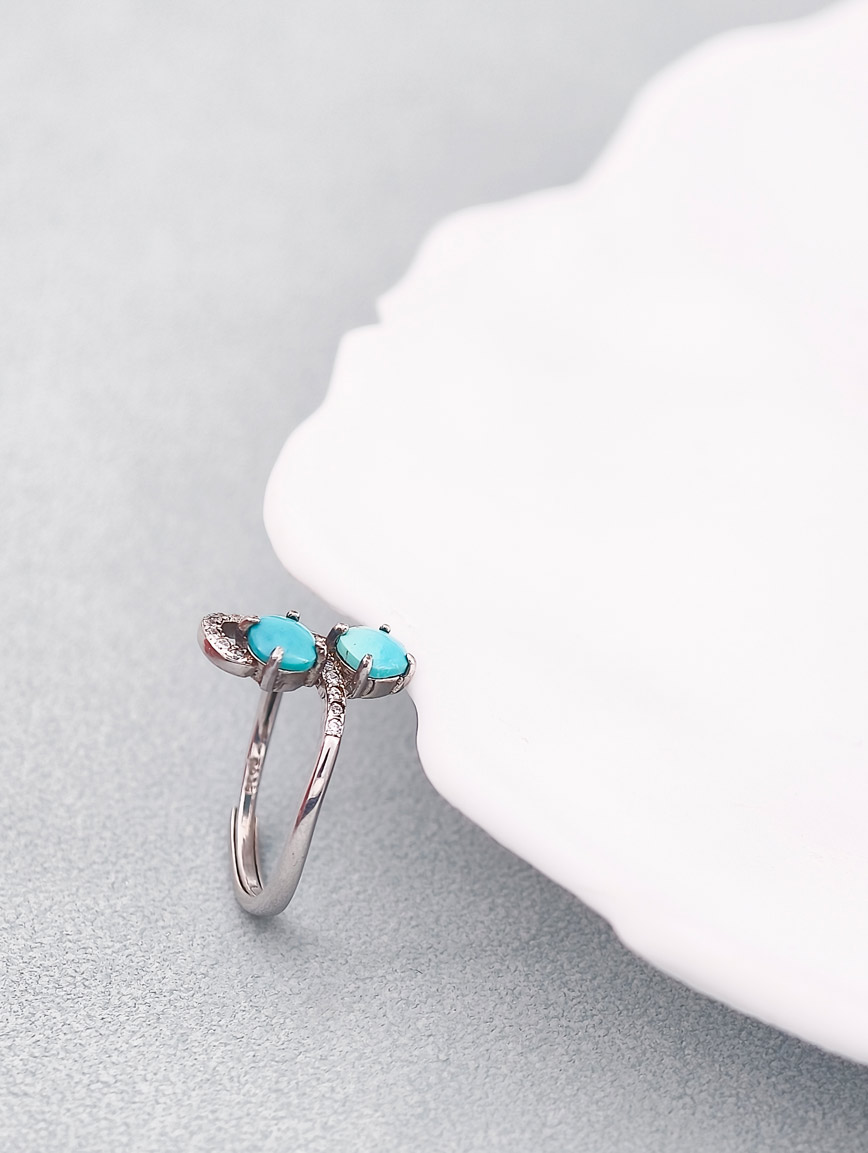 Sterling Silver Ring With Turquoise image